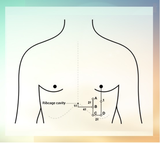 Spiritual Anatomy